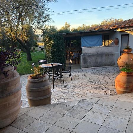 Agriturismo La Canonica マンチャーノ エクステリア 写真